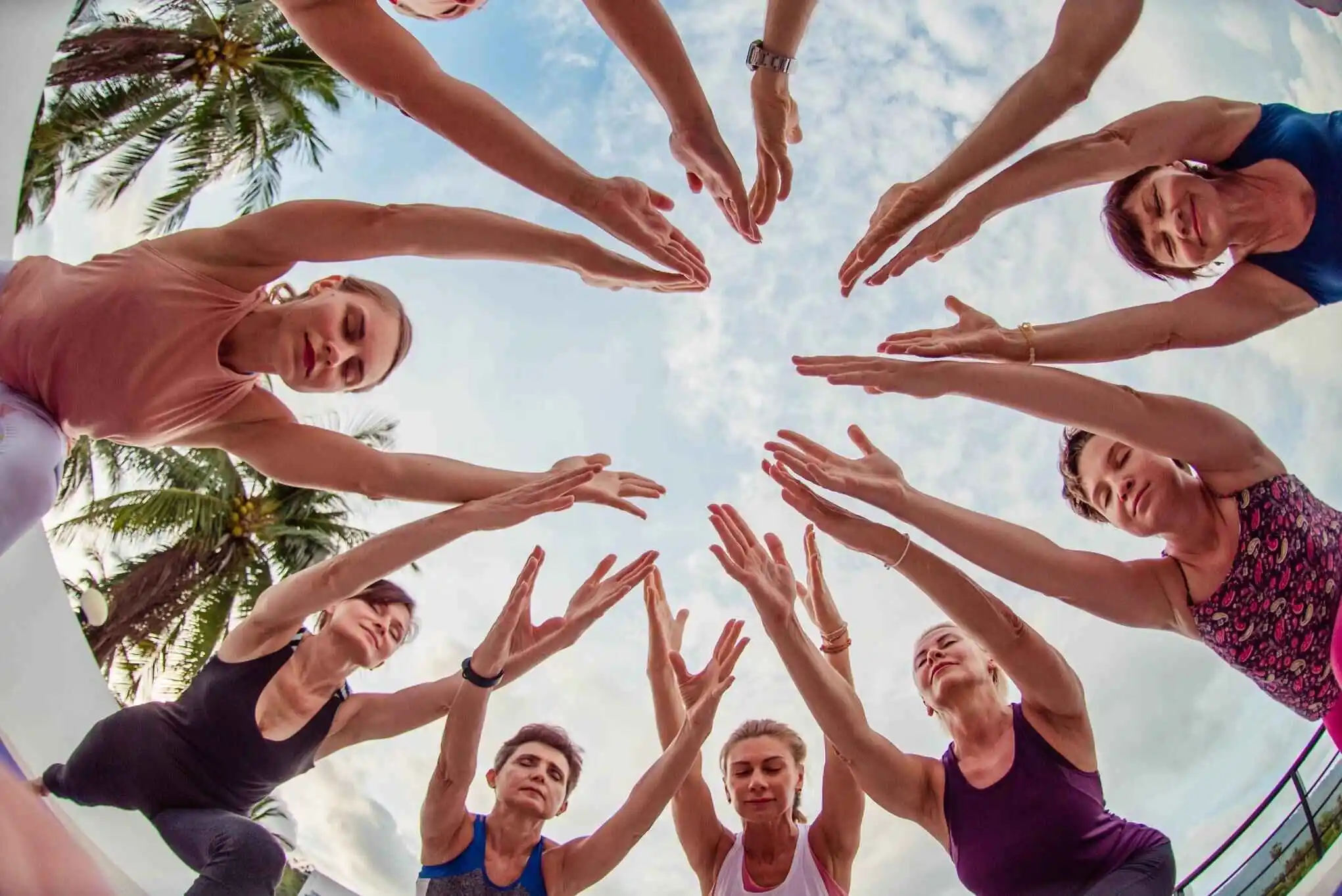 Students reaching into a circle under palm trees