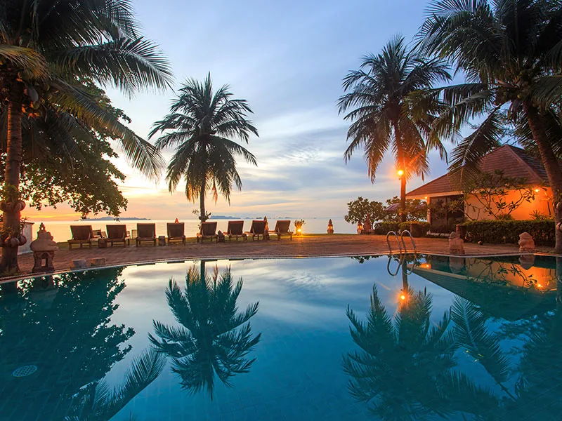 Palm trees reflected in a pool at sunset